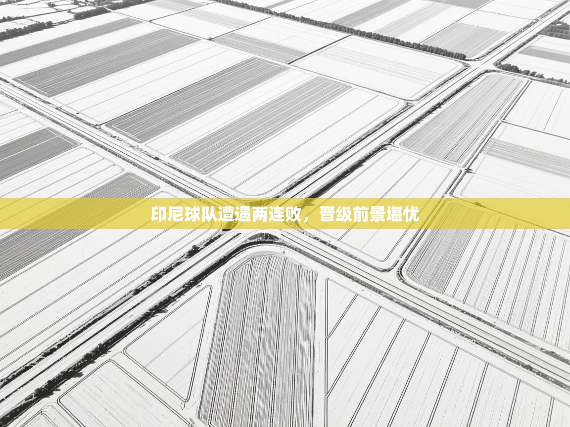 印尼球队遭遇两连败,晋级前景堪忧 第1张