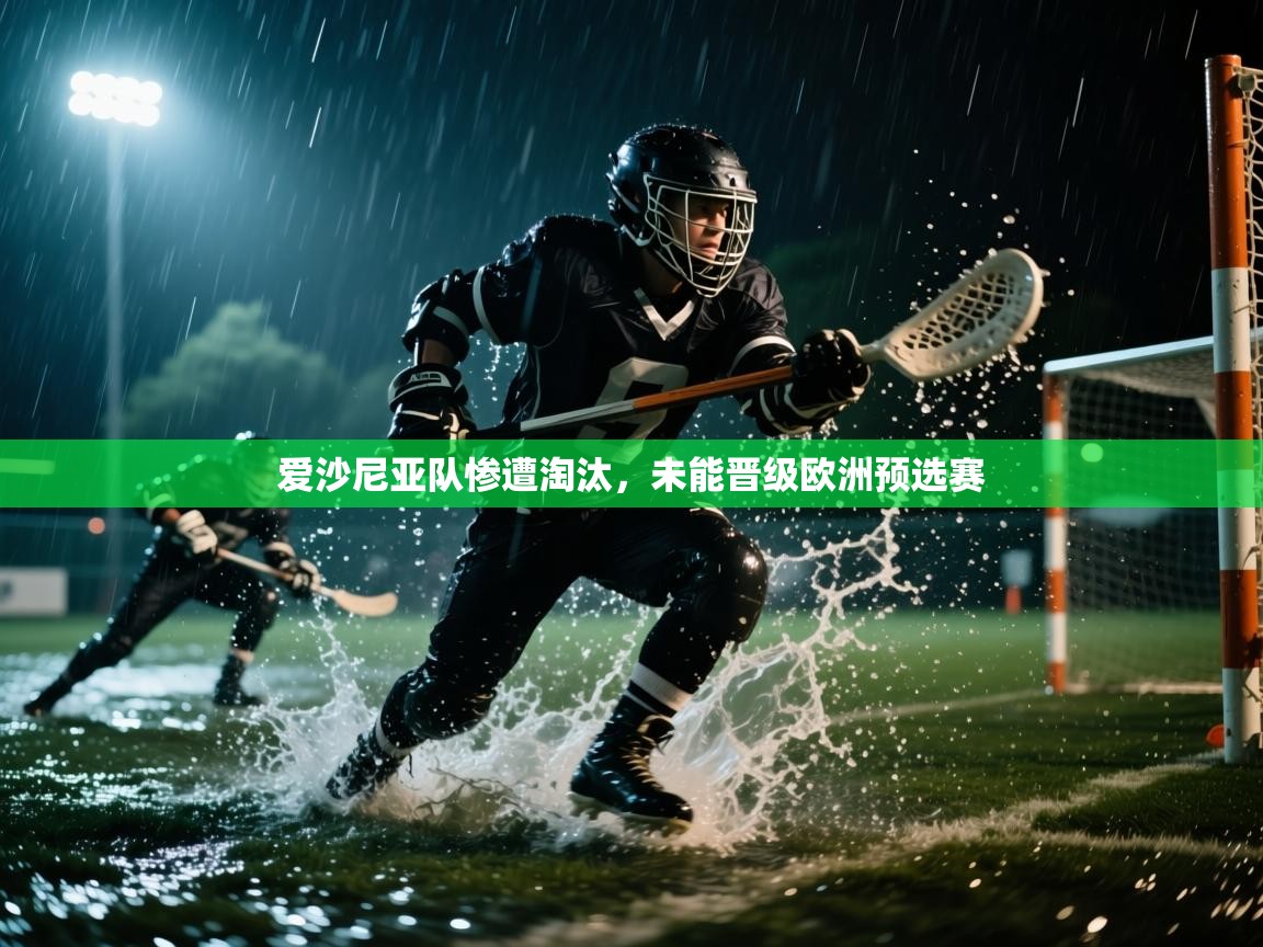 爱沙尼亚队惨遭淘汰，未能晋级欧洲预选赛  第2张