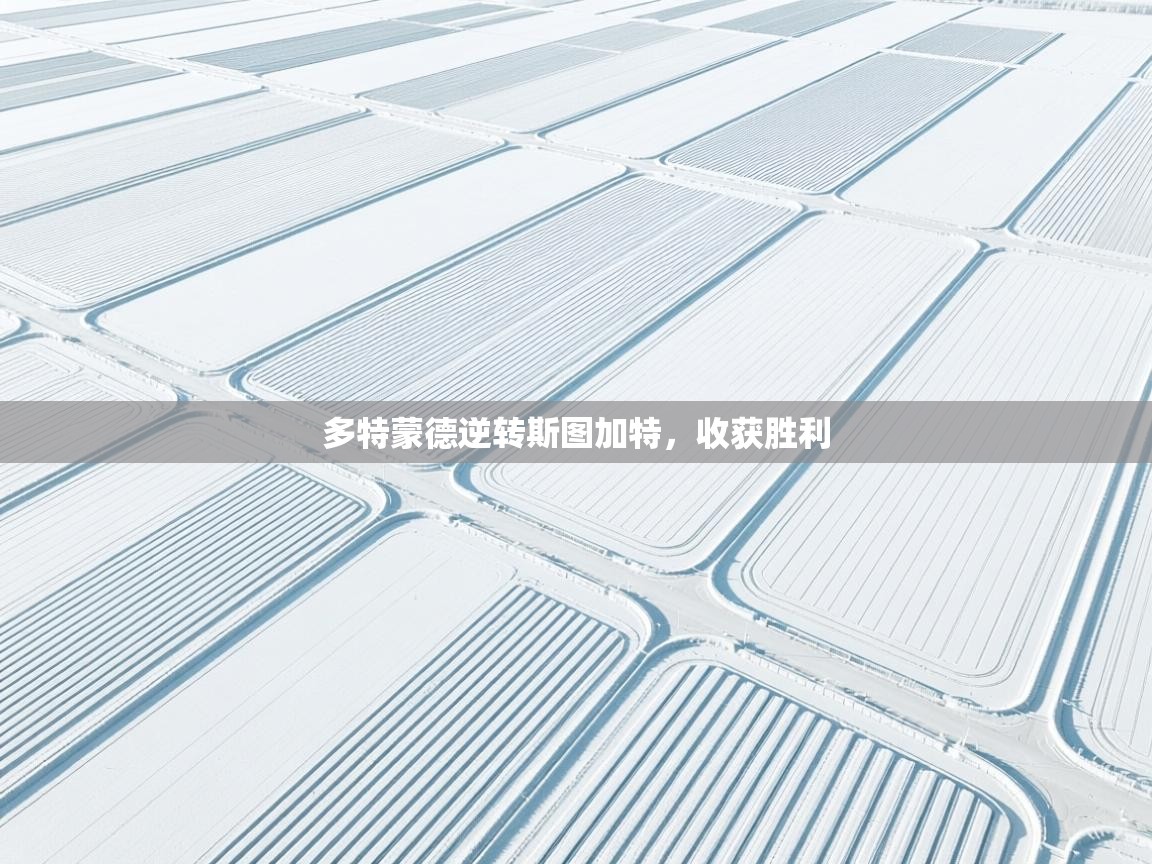 多特蒙德逆转斯图加特,收获胜利 第2张