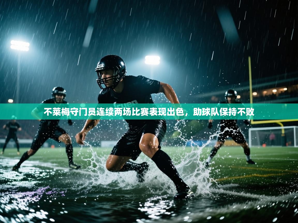不莱梅守门员连续两场比赛表现出色，助球队保持不败  第1张