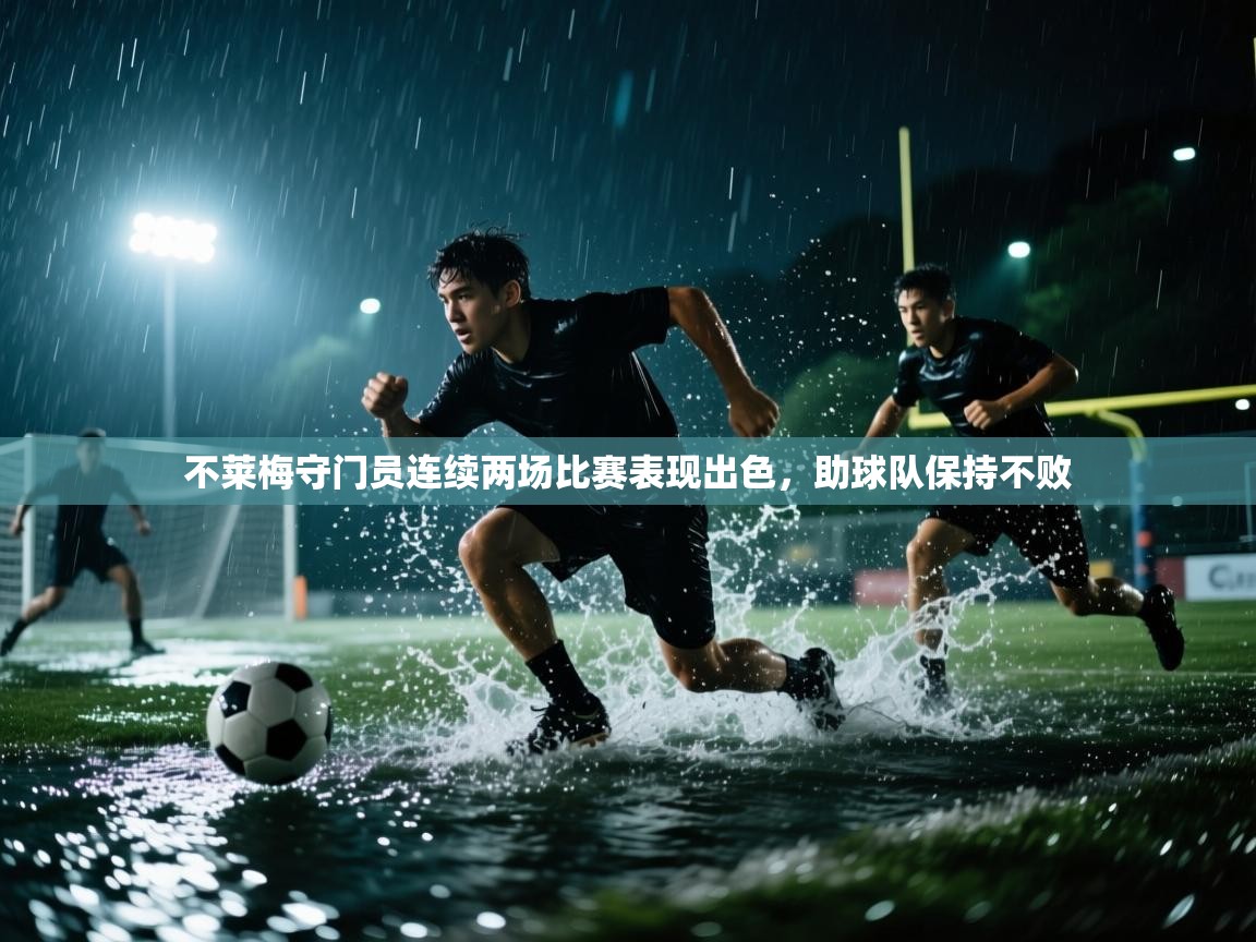 不莱梅守门员连续两场比赛表现出色，助球队保持不败  第2张