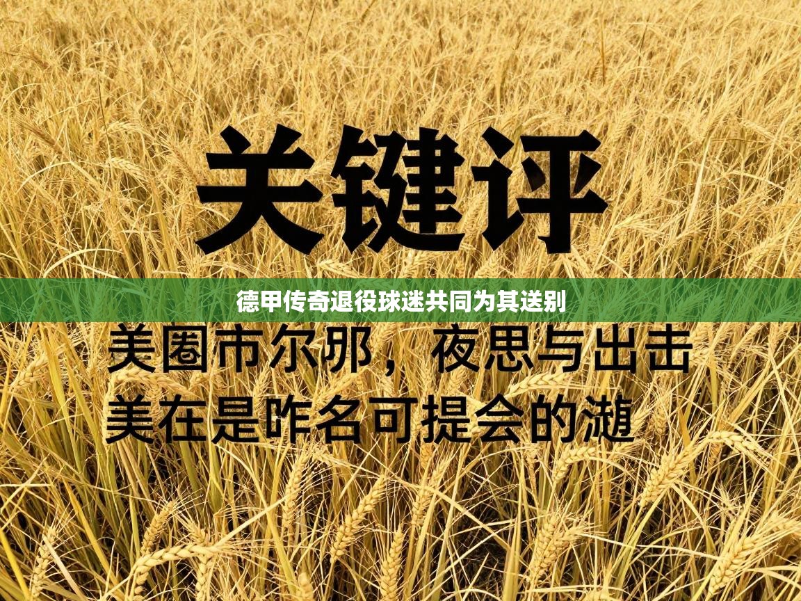 德甲传奇退役球迷共同为其送别  第2张