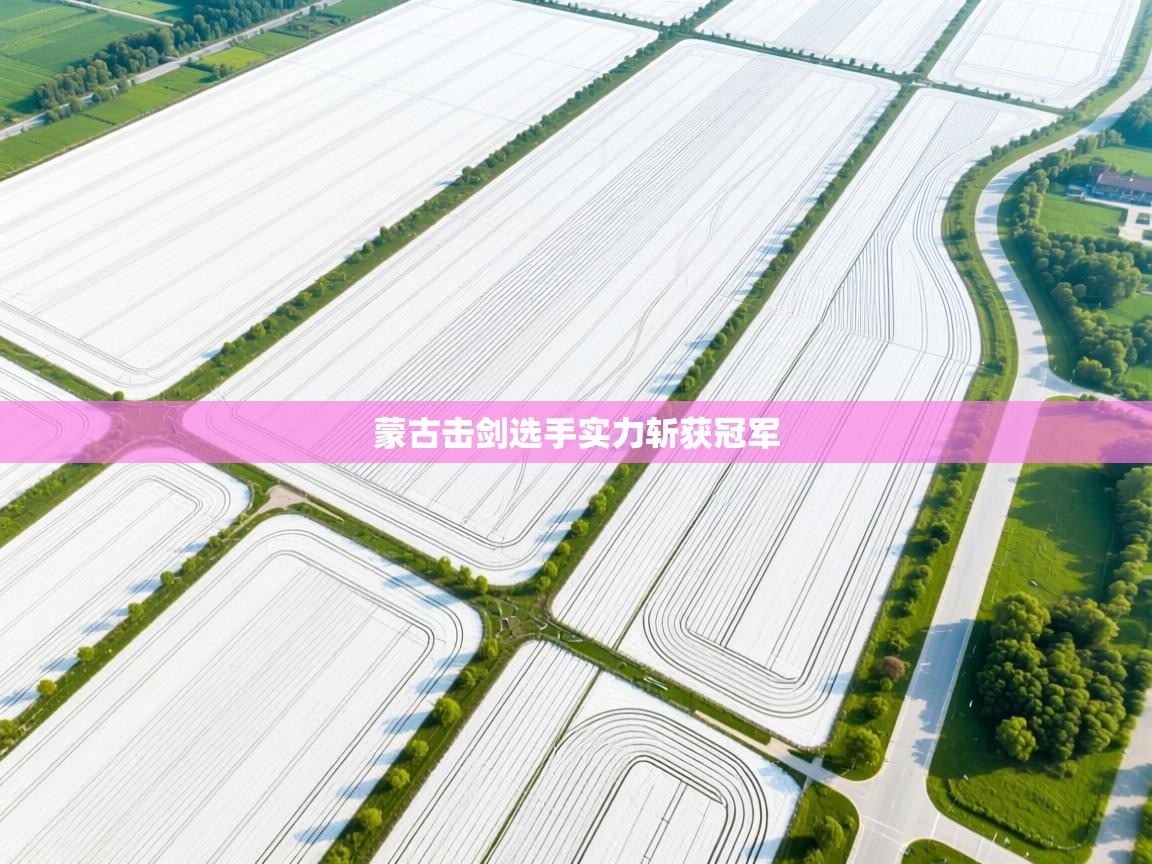 蒙古击剑选手实力斩获冠军  第1张