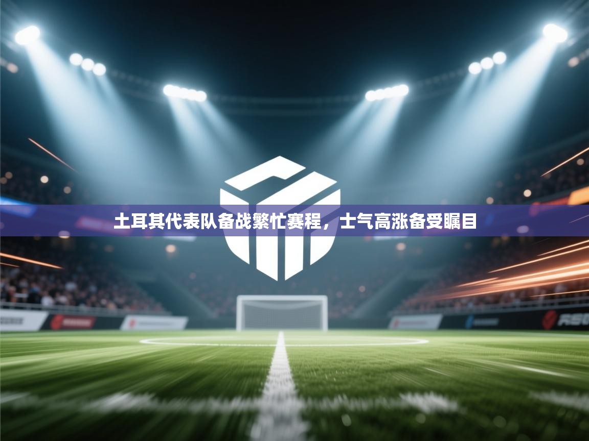 土耳其代表队备战繁忙赛程，士气高涨备受瞩目  第2张