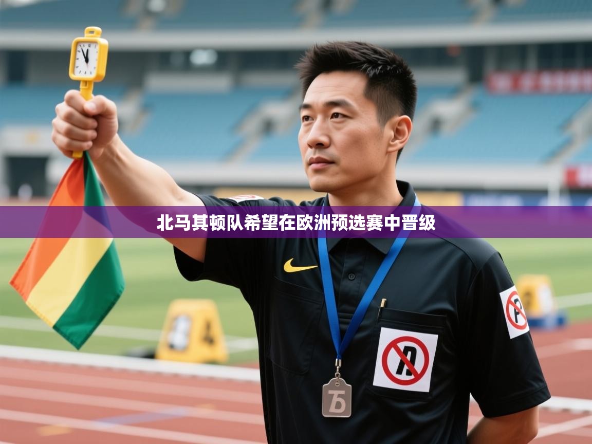 北马其顿队希望在欧洲预选赛中晋级  第2张